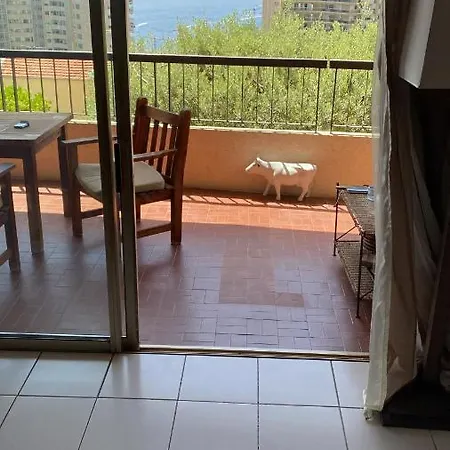 Terrasse Sur Monaco 2 Apartment *